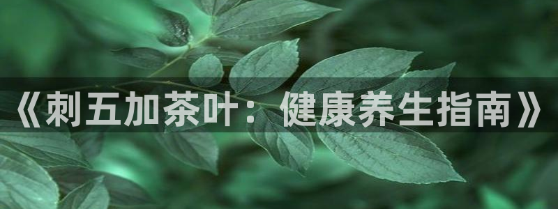 龙八国际手机客户端下载