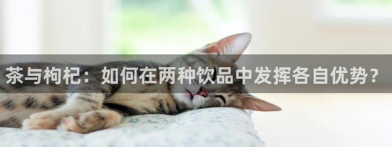 龙八国际手机网页版