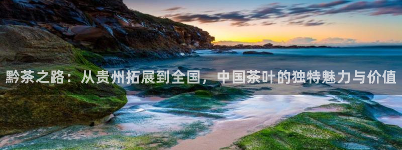 龙八国际发哥下载