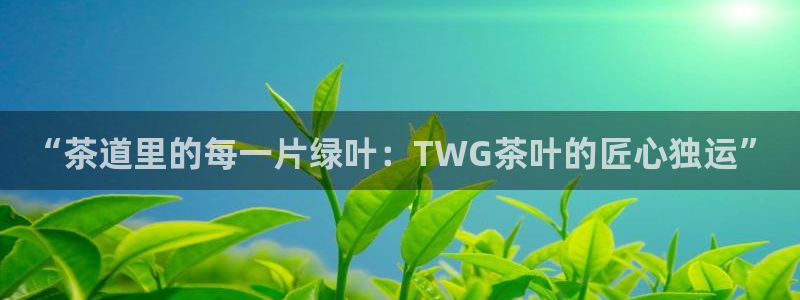 天津龙八国际