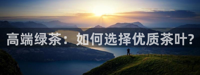 国际龙八国集团