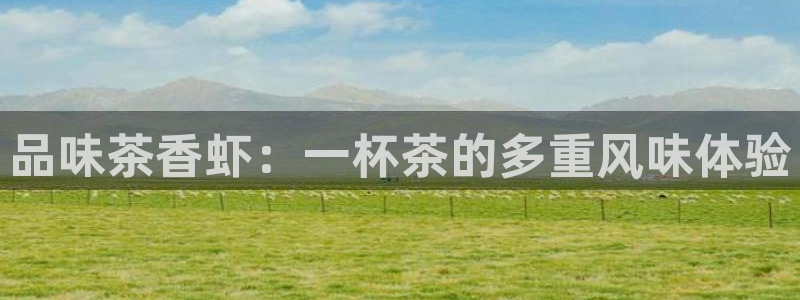 龙八国际b48点tv