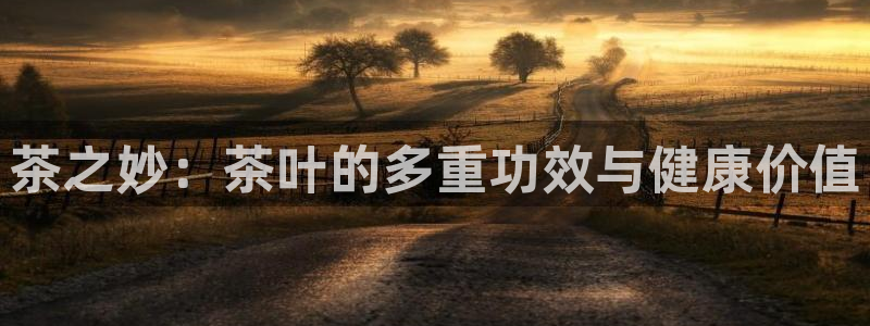 龙八国际88
