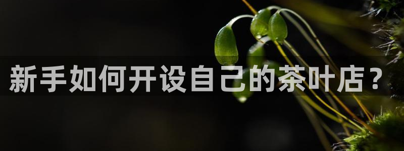 龙八国际手机版入口官网