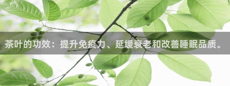 龙八国际app手机端
