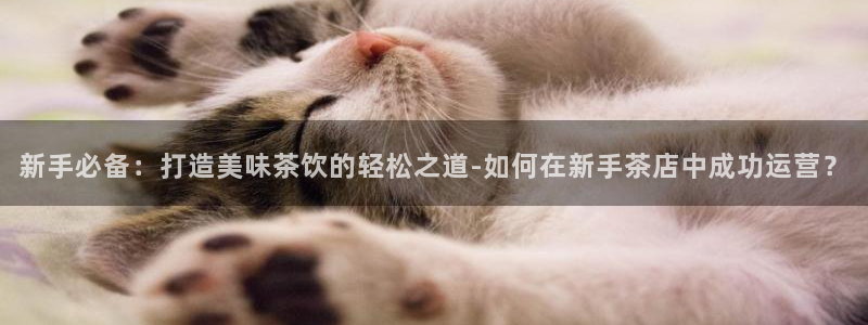 龙八国际pt老虎机官网