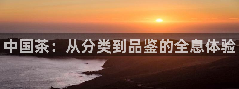 下载龙八国际官方网站