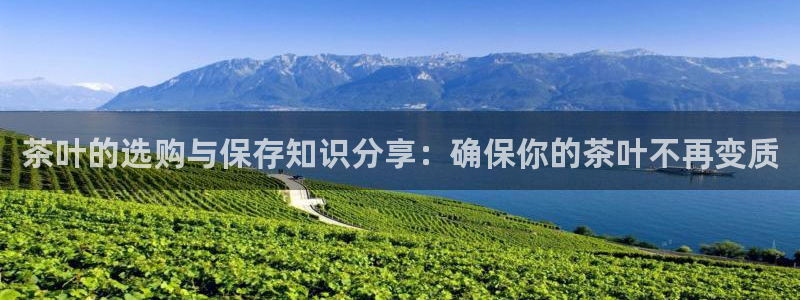 龙八国际客户端下载