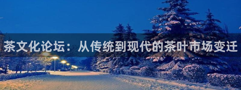 龙八国际
