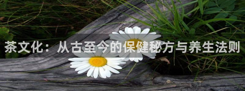 龙八国际平台下载