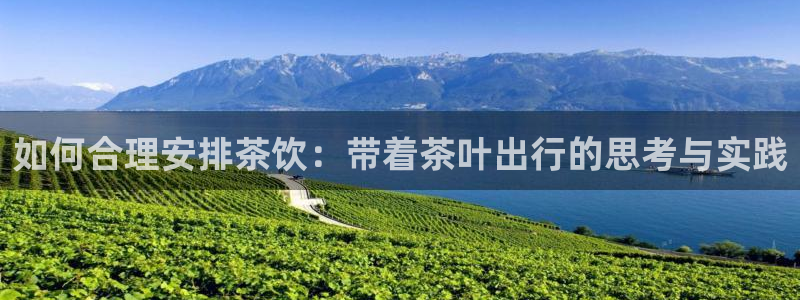 龙八国际电话