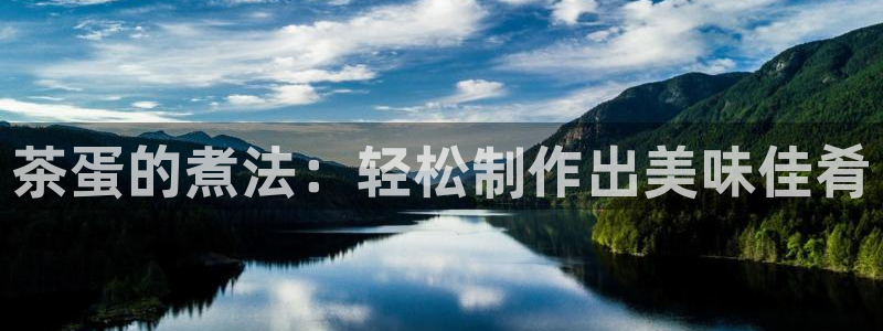 龙八国际app