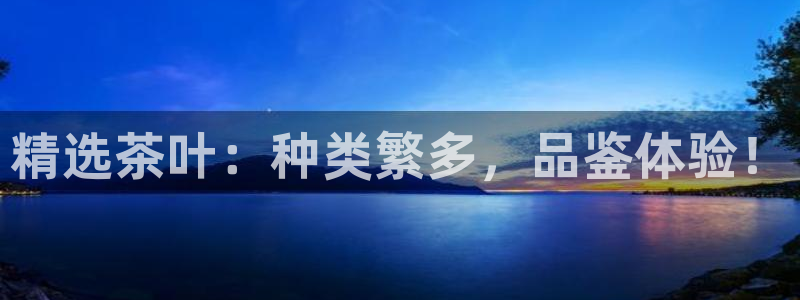 龙八国际游戏视频