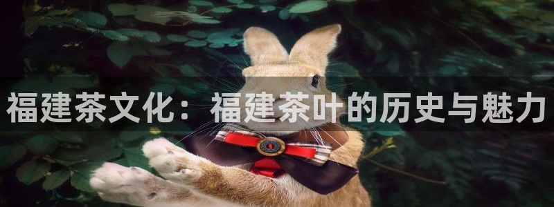 头号玩家龙八国际网址