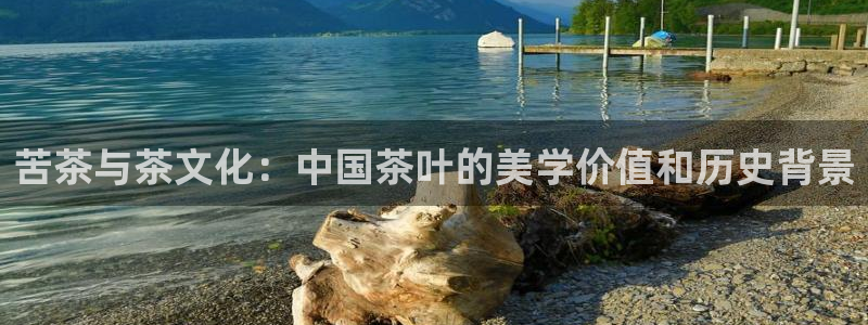 龙八国际官首页