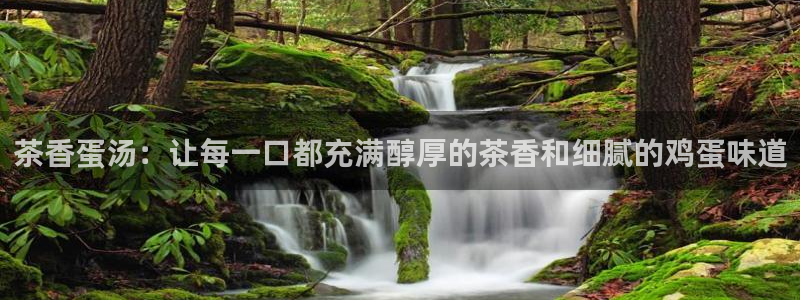 手机版龙八国际