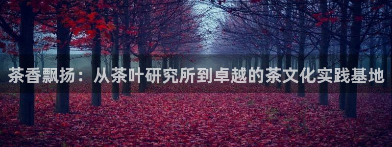 龙八国际网站登录