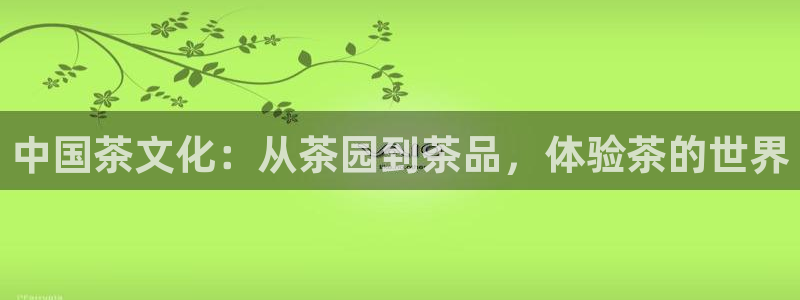 龙八国际网站