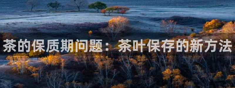 龙八国际游戏