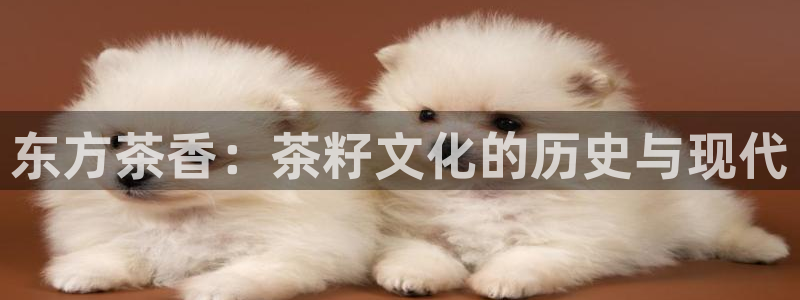 龙八国际娱乐正版