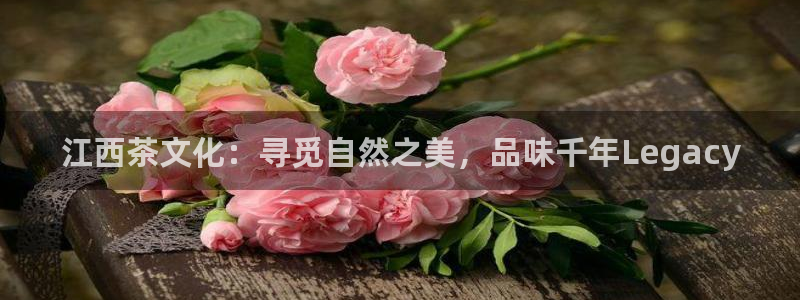 举报龙八国际