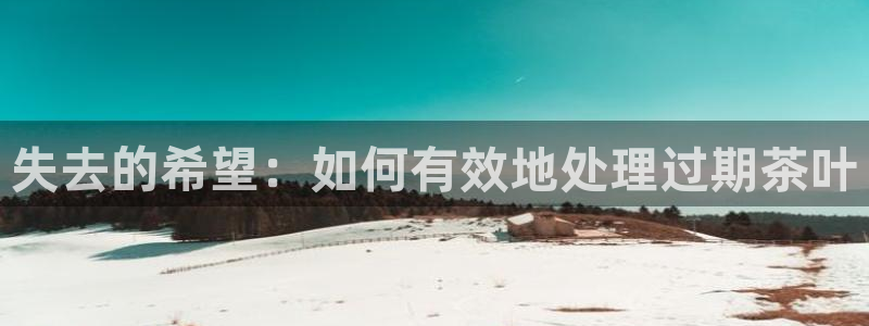 龙八国际是干什么的