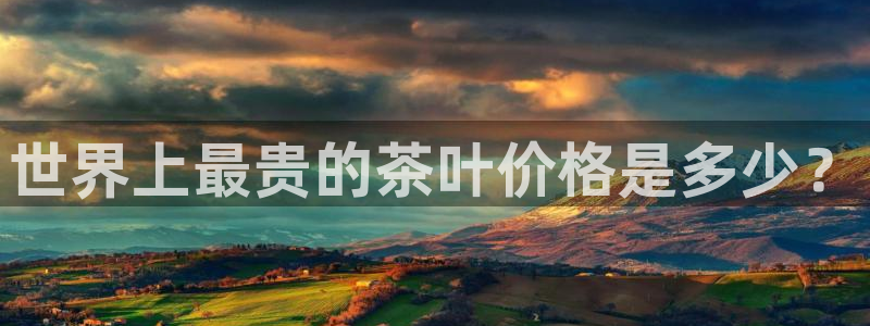 龙八国际输死人