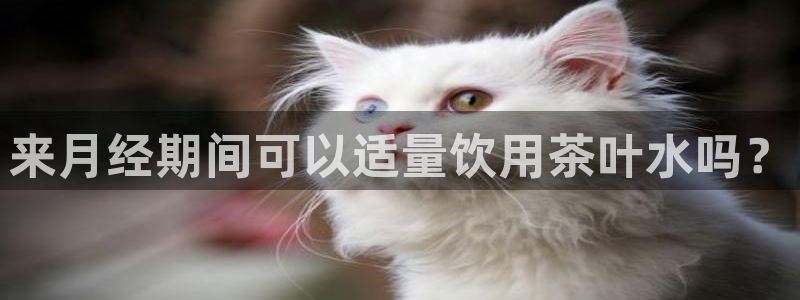 龙八国际官网手机版登陆
