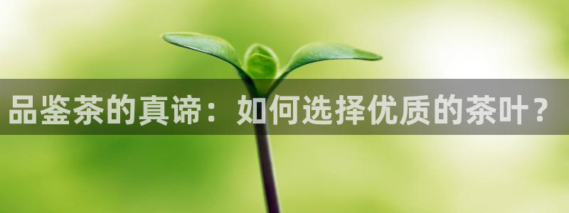 龙八国际怎么注册手机端