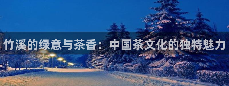 龙八国际头号玩家下截
