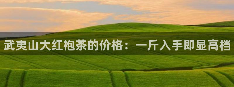 龙八国际app手机端