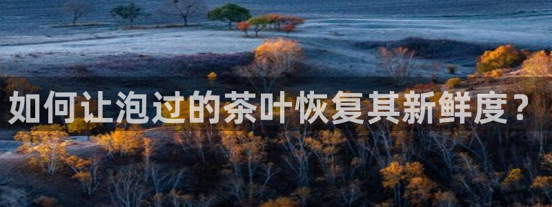 龙八国际官方网