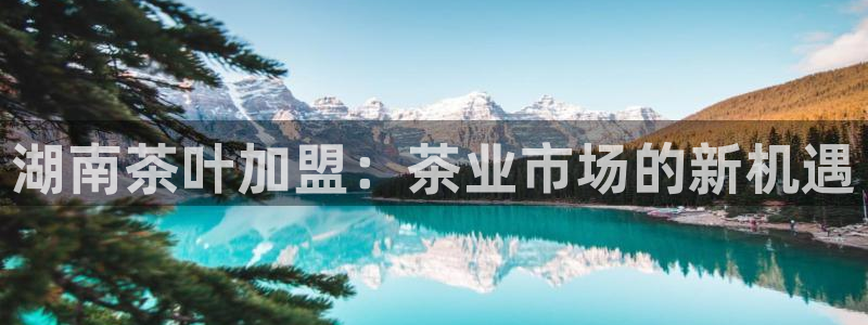 龙八国际娯乐城软件下载
