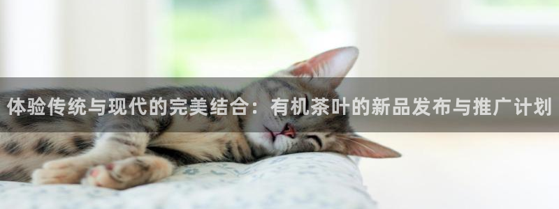龙八国际官方网址