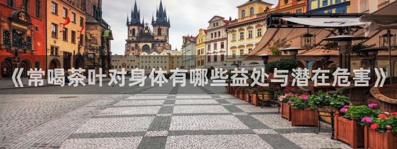 龙八国际app是什么