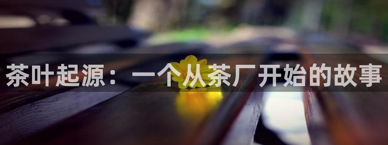 龙八国际官网产品介绍