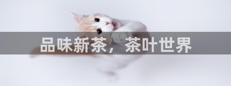 龙八国际long