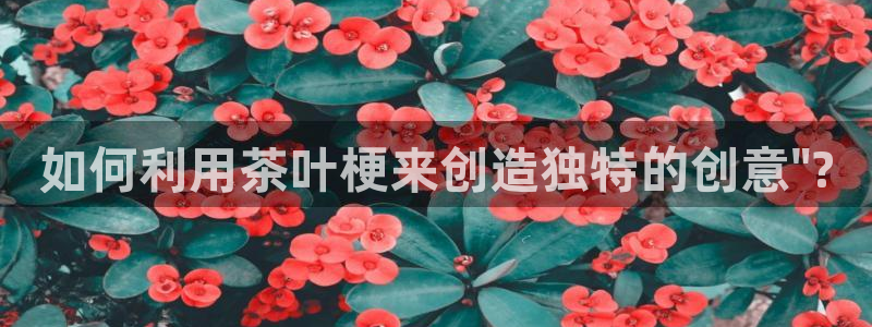 龙八国际网页long123