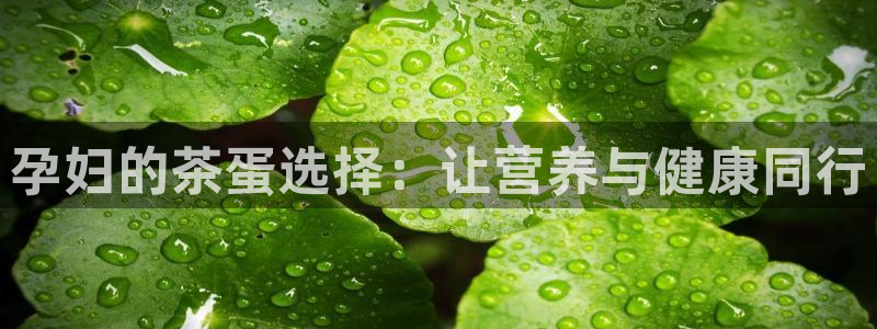 下载龙八国际手机版手游