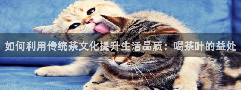 龙八国际娱乐dt 和老虎机