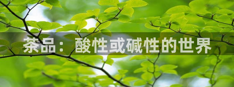 龙八国际城网站