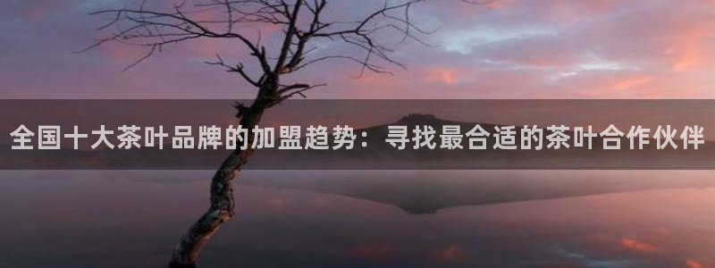 龙八国际官方网