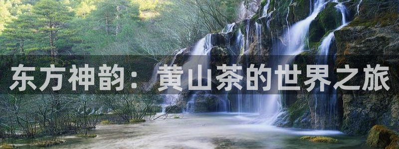 下载龙八国际大片