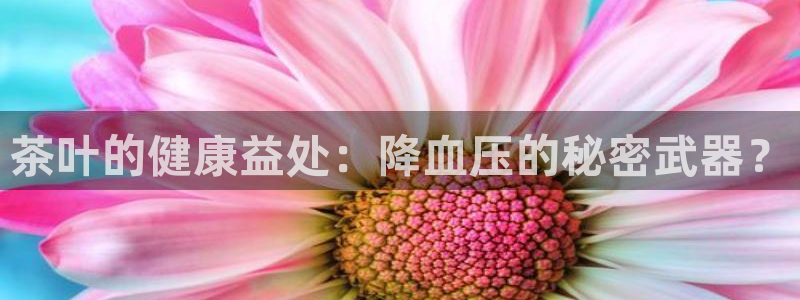 龙八国际娱乐中心