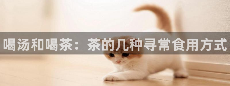 龙八国际娱乐官方网站