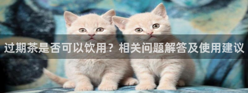 龙八国际技巧