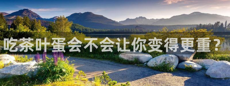 龙八国际long