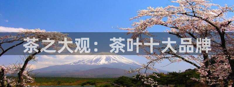 龙八国际APP官方版
