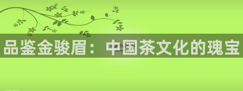 下载龙八国际游戏