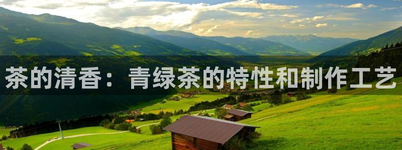 龙八国际服官网下载安装